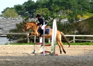  Salto 